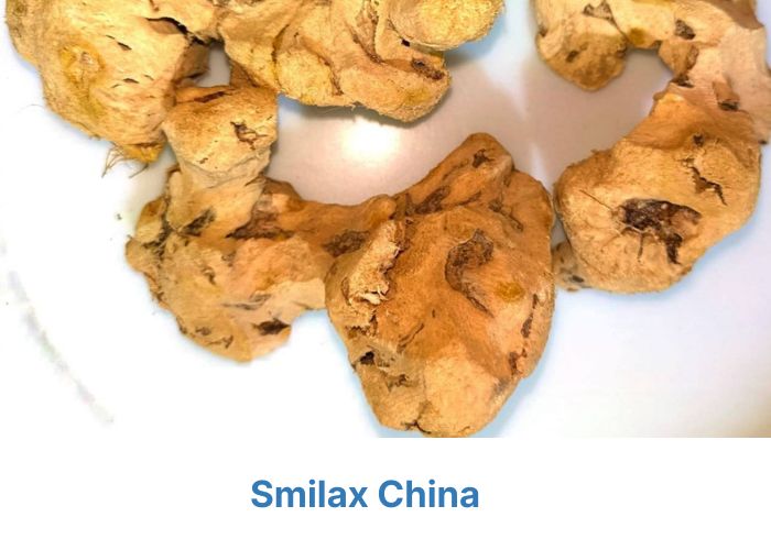 Smilax china1